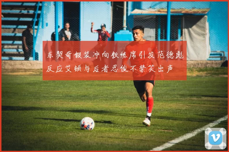 东契奇假装冲向教练席引发范德彪反应艾顿与后者忍俊不禁笑出声